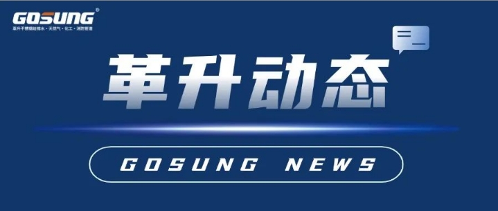 GOSUNG资讯丨峰会聚力收官，技术赋能未来